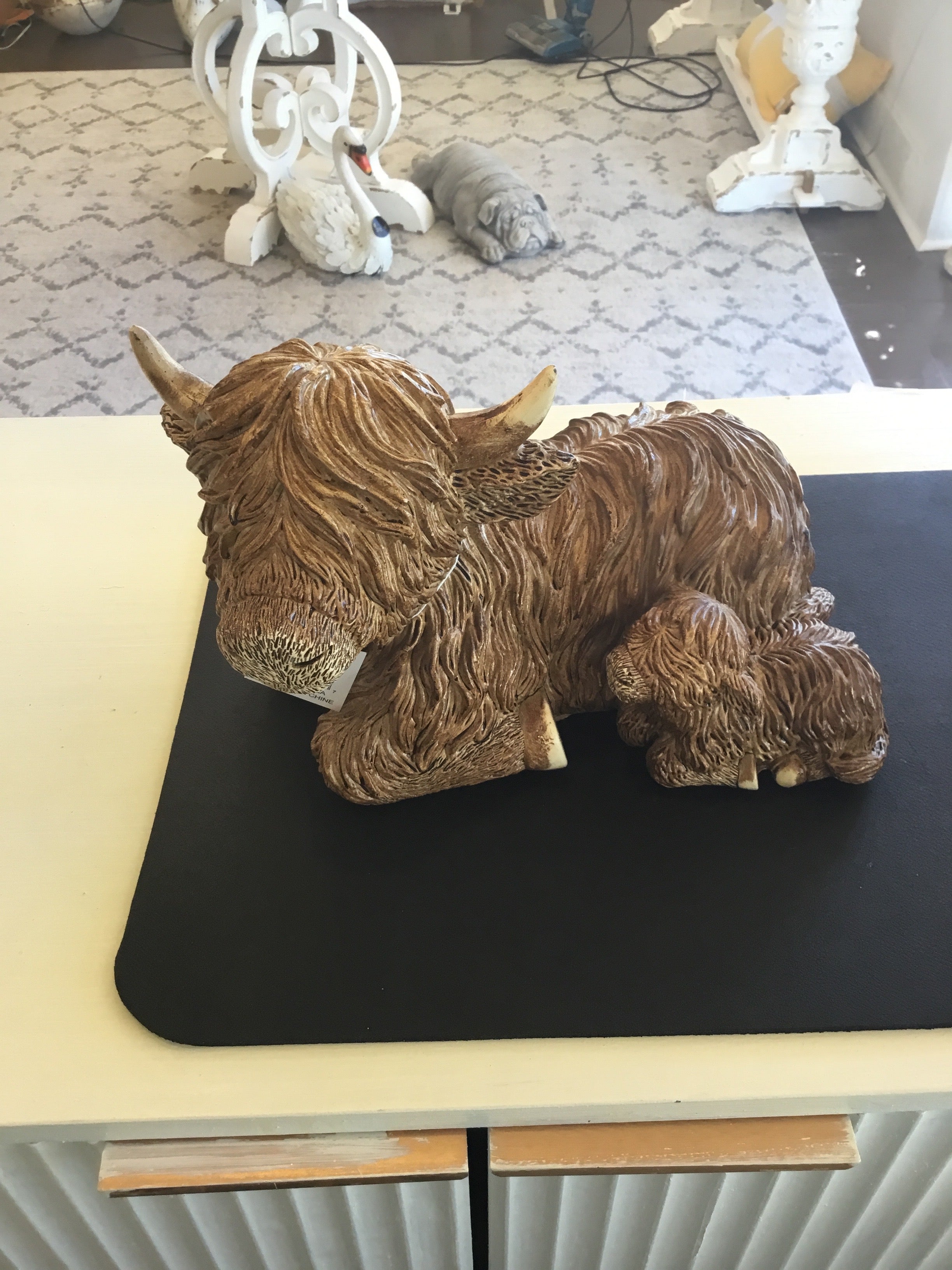 Highland cow with baby
