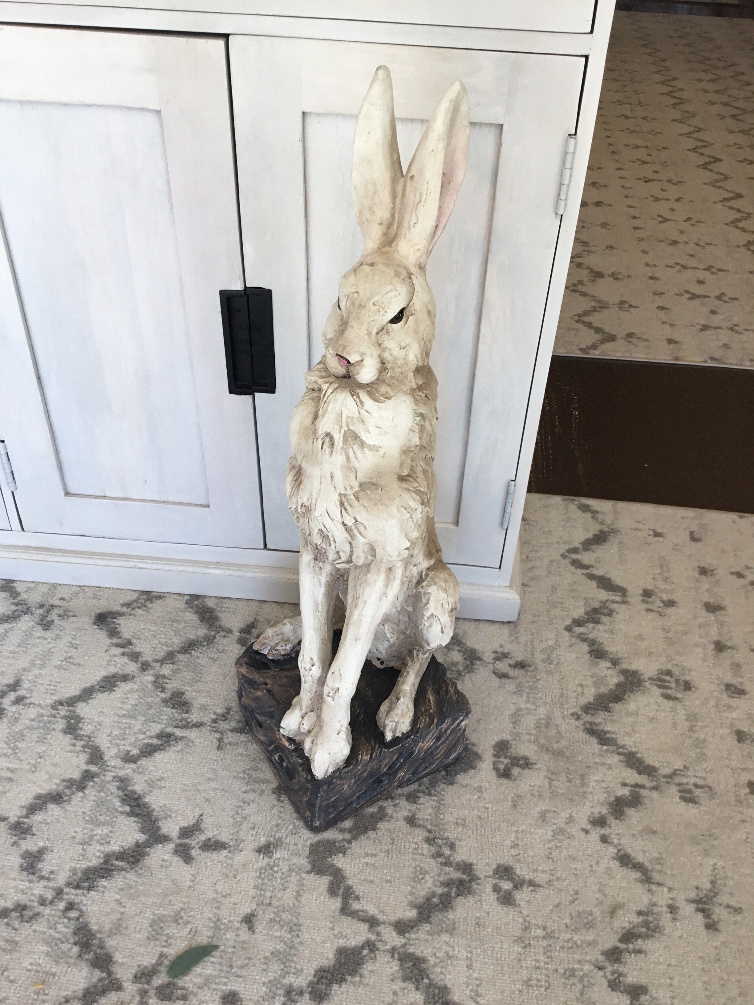 Big white rabbit