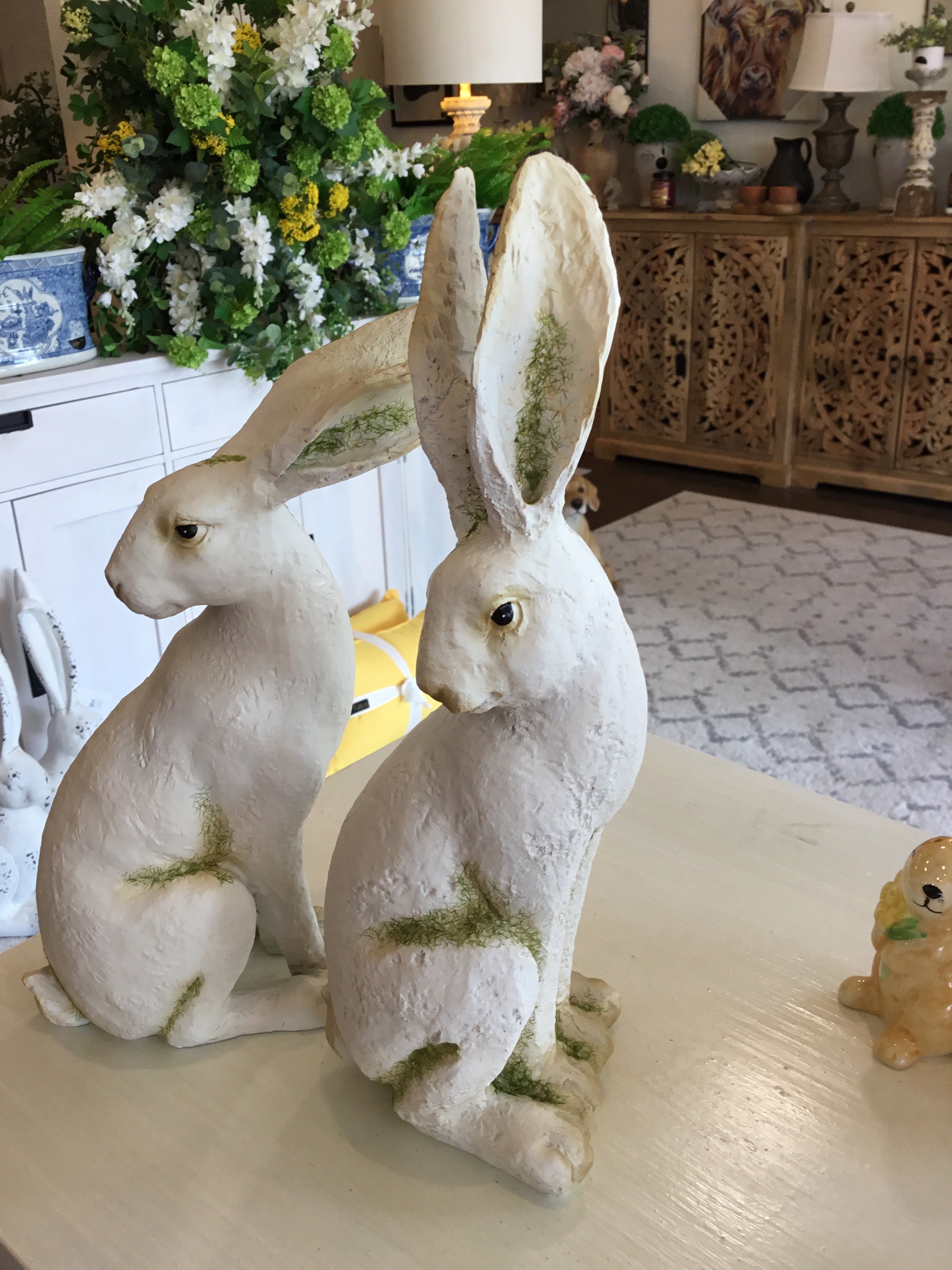 White rabbit