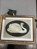 Lettered and lined white swan picture