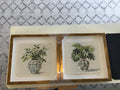 Potted plant picture set