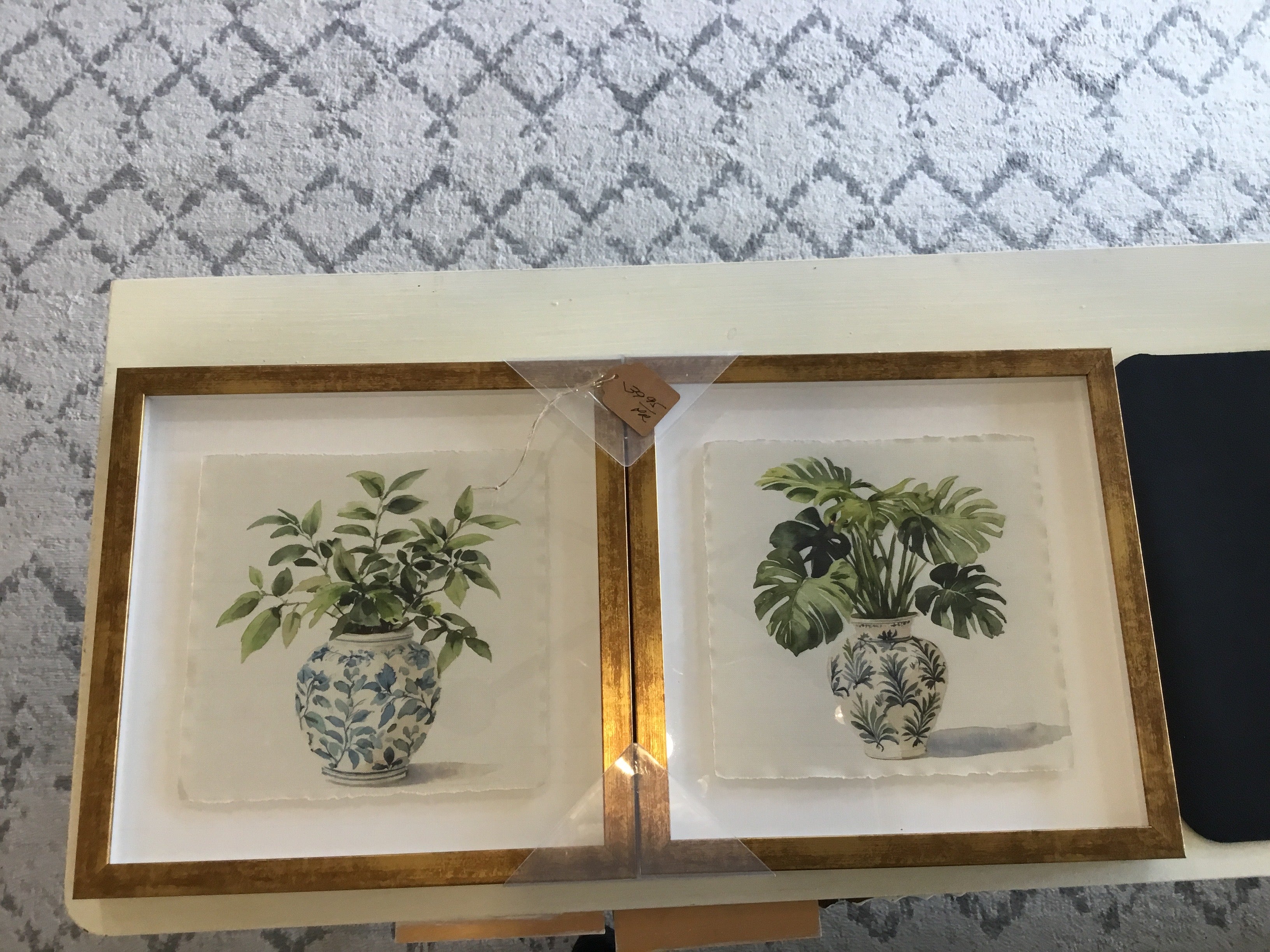 Potted plant picture set
