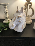 Small white horse