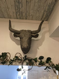 Bull head gray