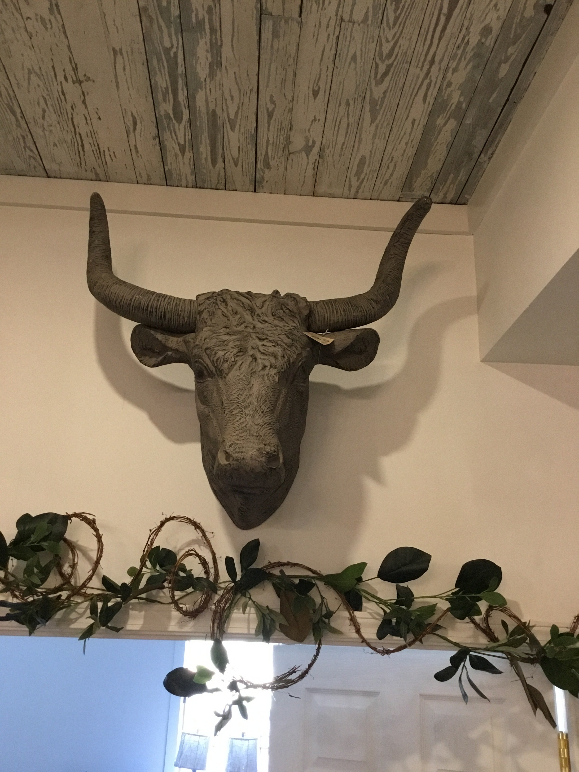 Bull head gray