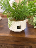 Greenery in white pot