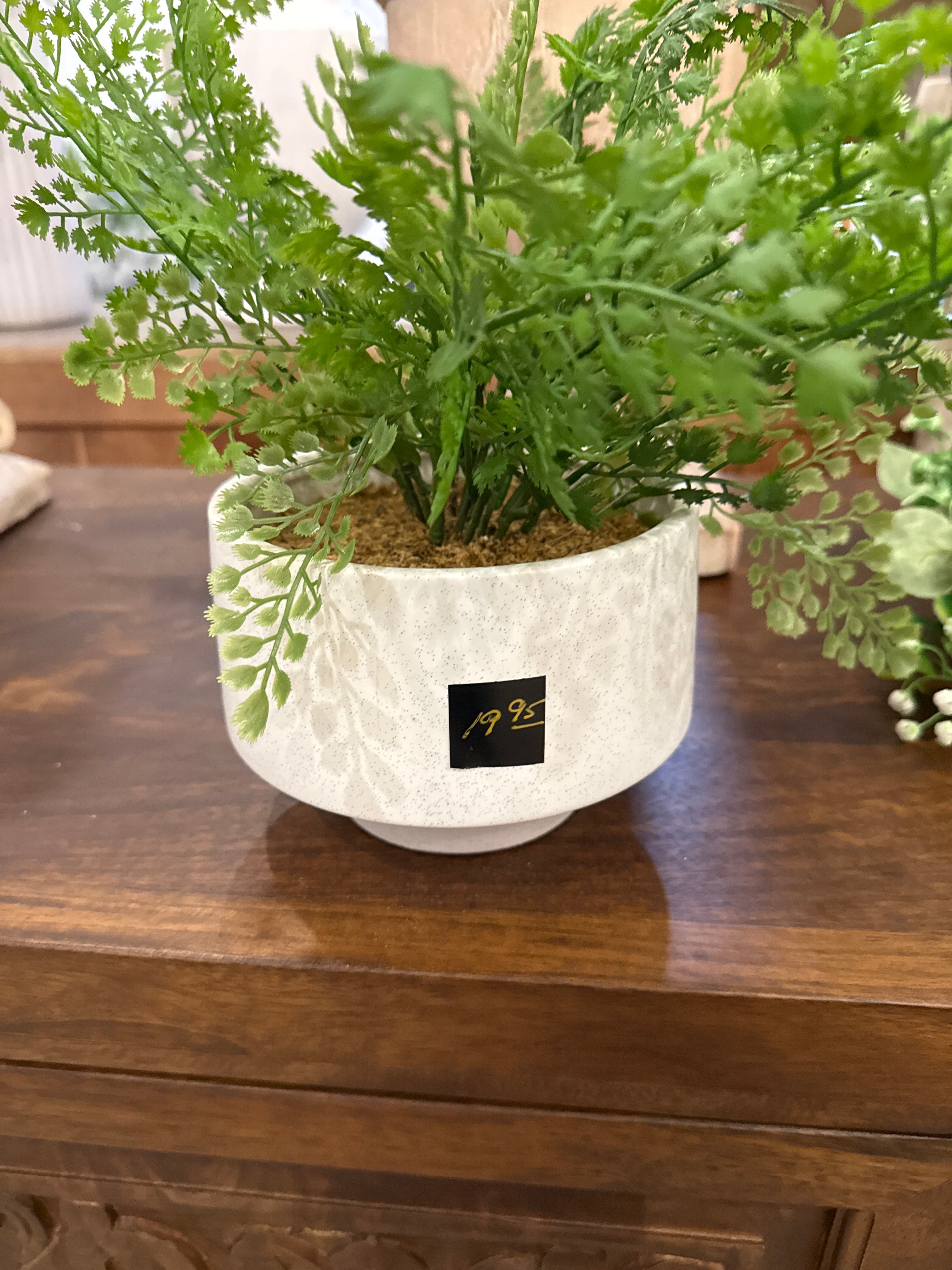 Greenery in white pot