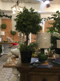 Topiary