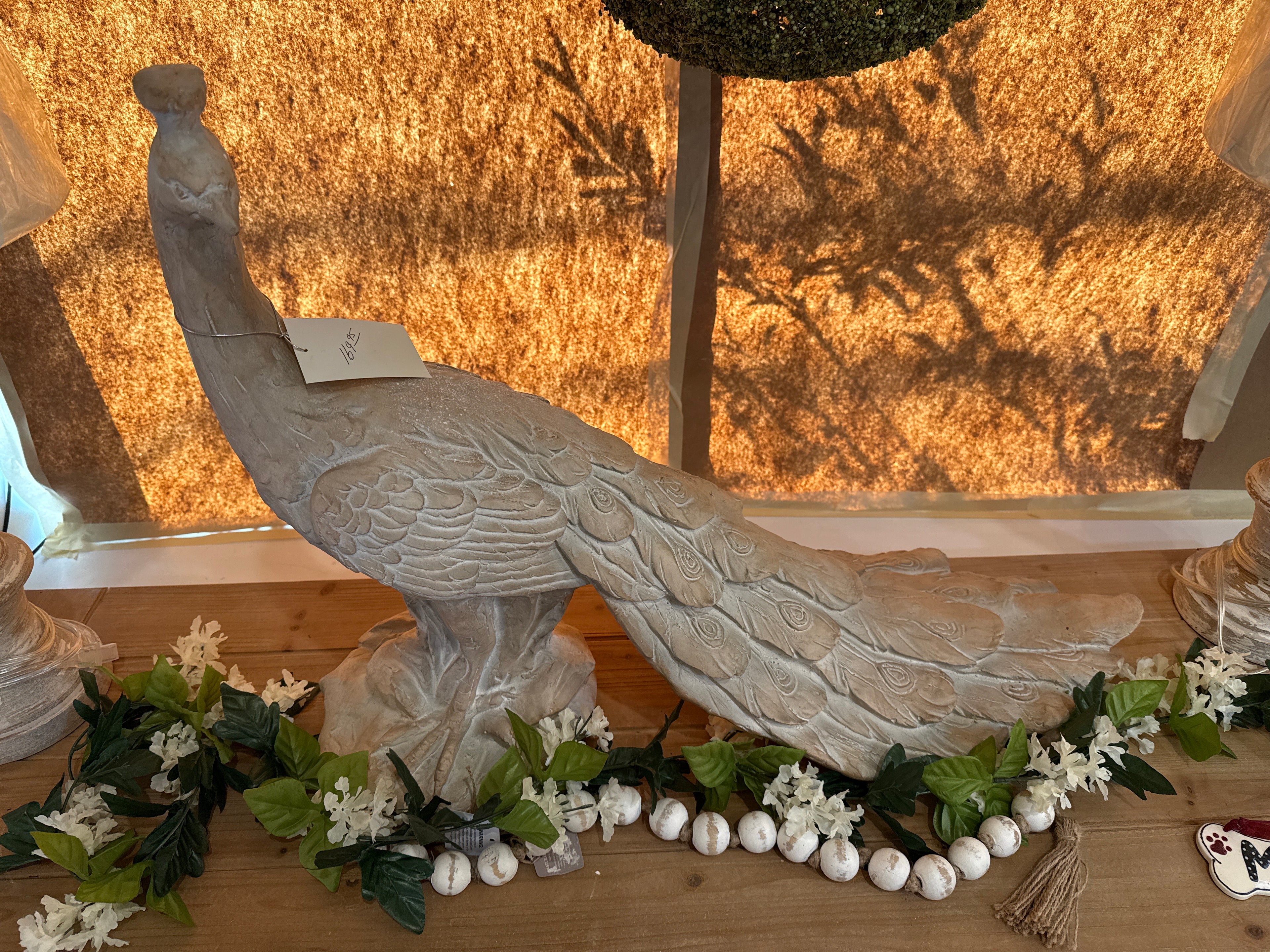 Peacock Bird