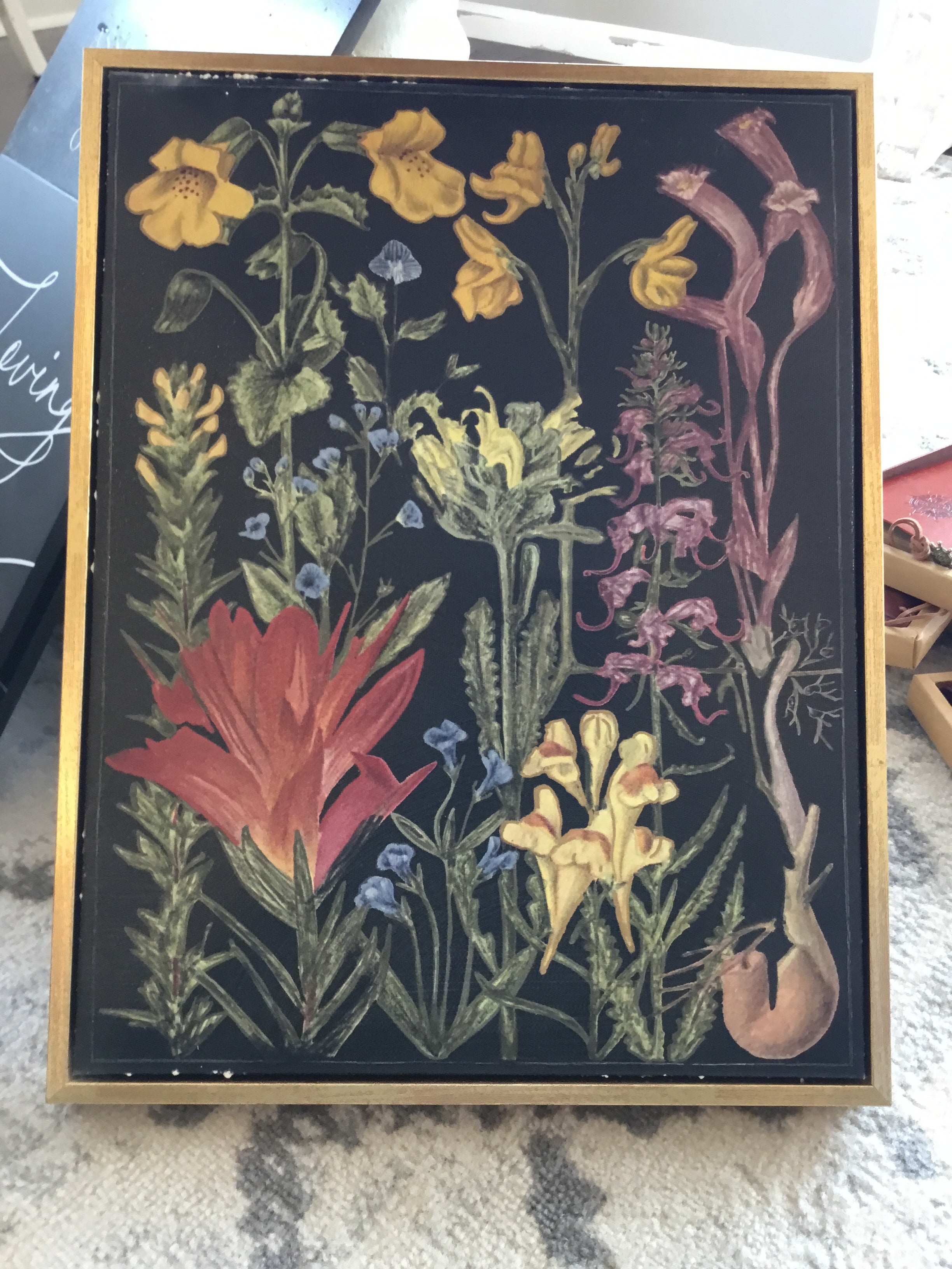 Flower stem picture