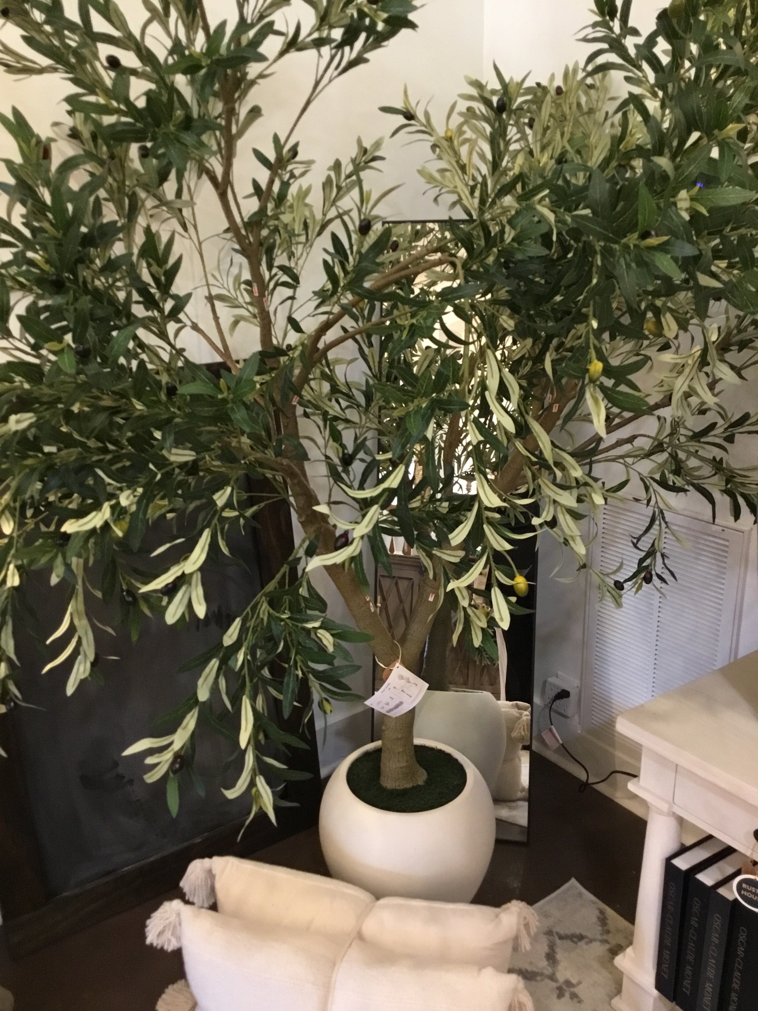 Large olive tree