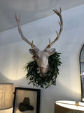 CTW Buck head