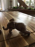 Small elephant