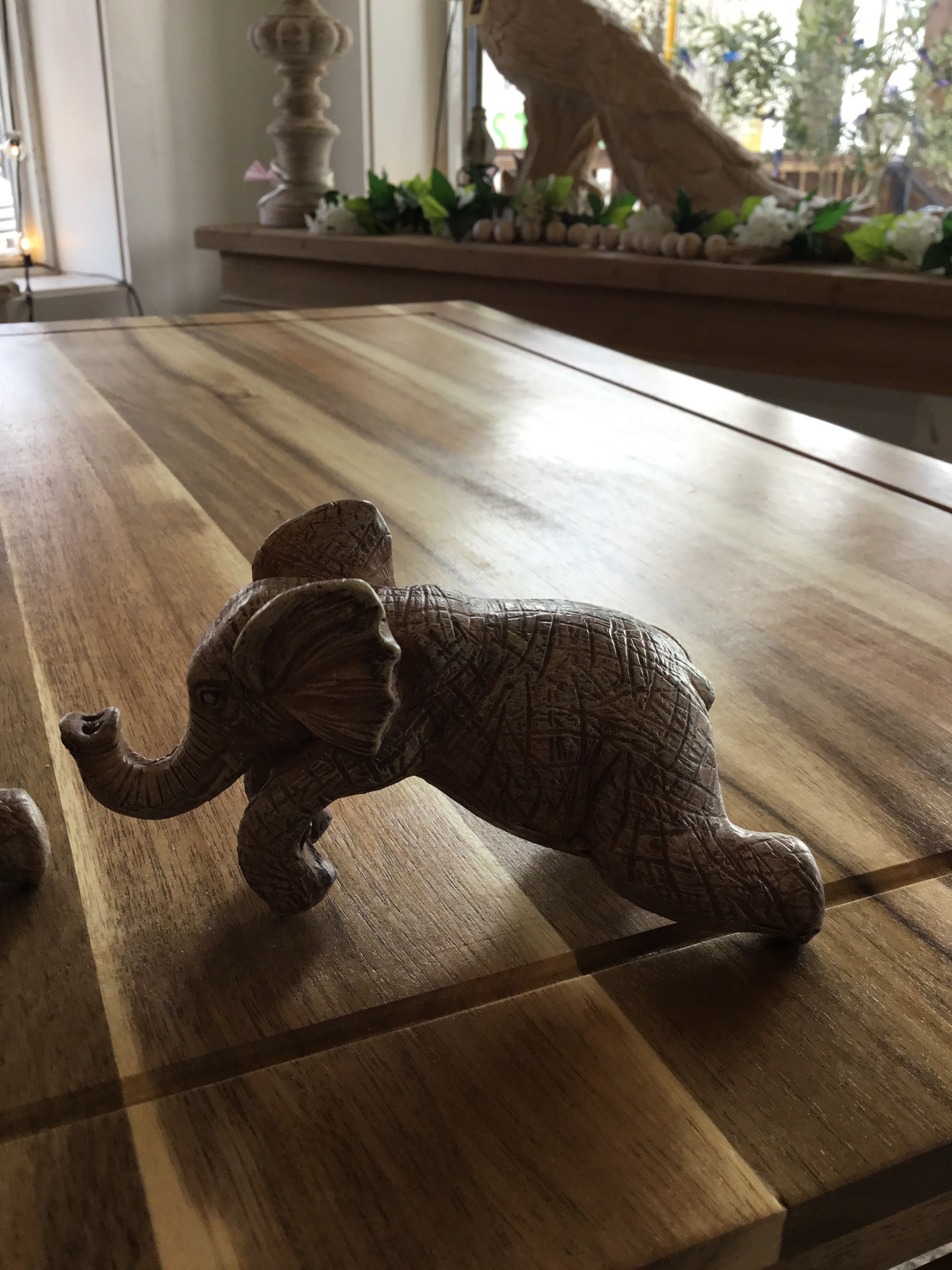 Small elephant