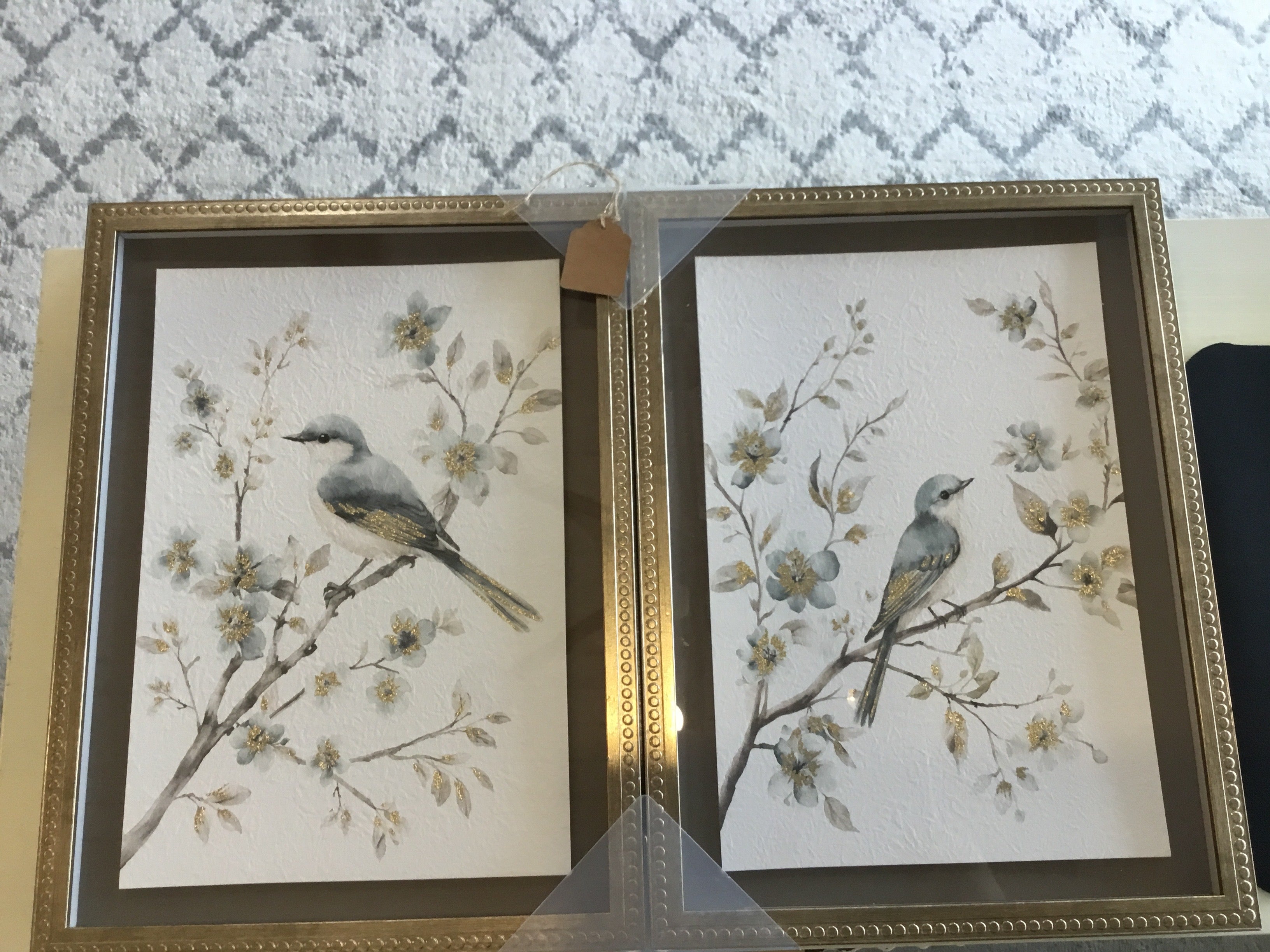 Blue bird picture set